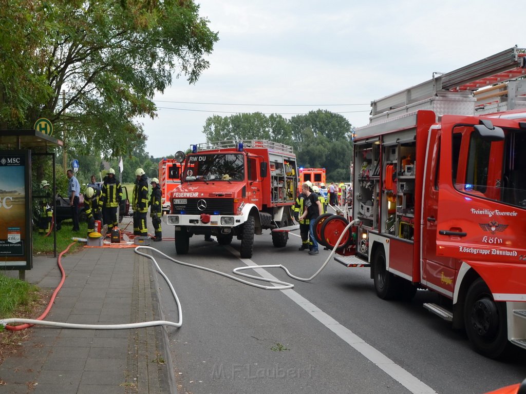 PKlemm Koeln Duennwald Am Weissen Moench Duennwalder Kommunalweg P08.JPG - Miklos Laubert